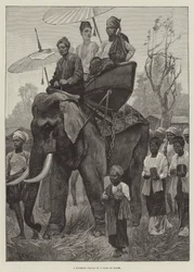 A Burmese Prince on a Visit of State